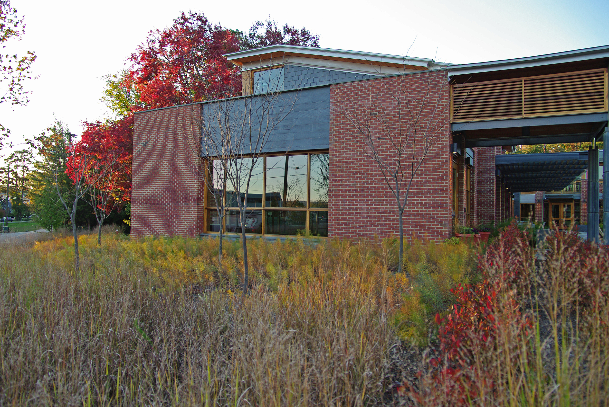 JEFFERSON SCHOLARS2.JPG