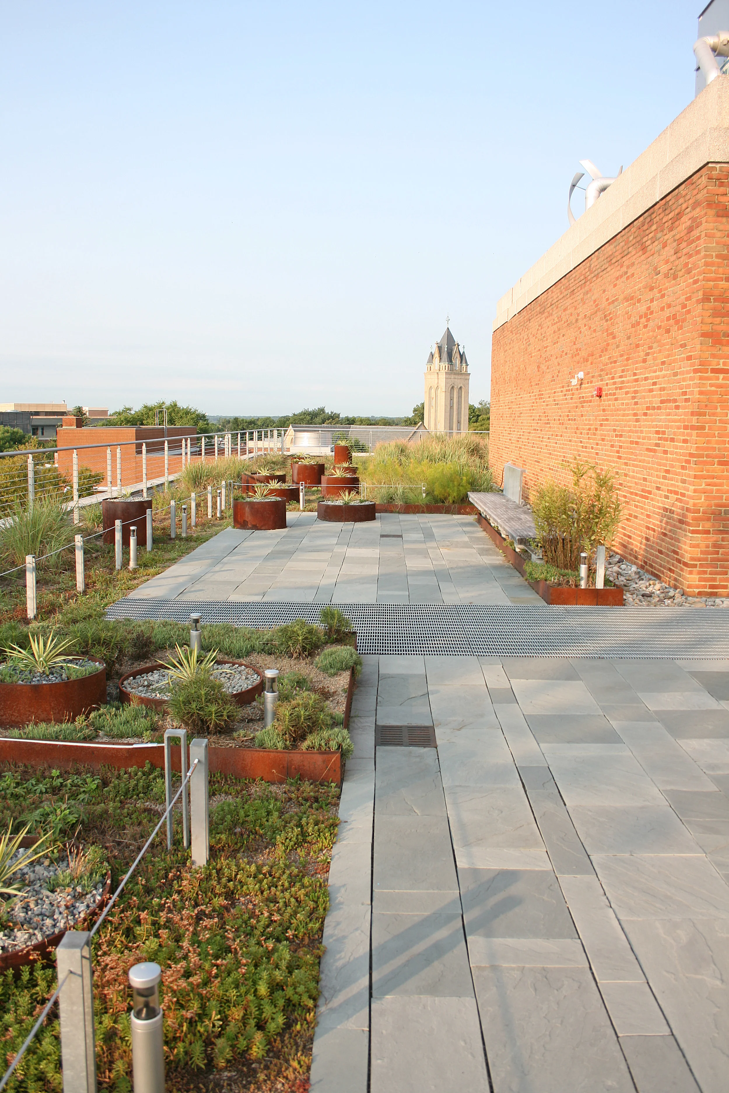 VCU POLLAK ROOF4.JPG