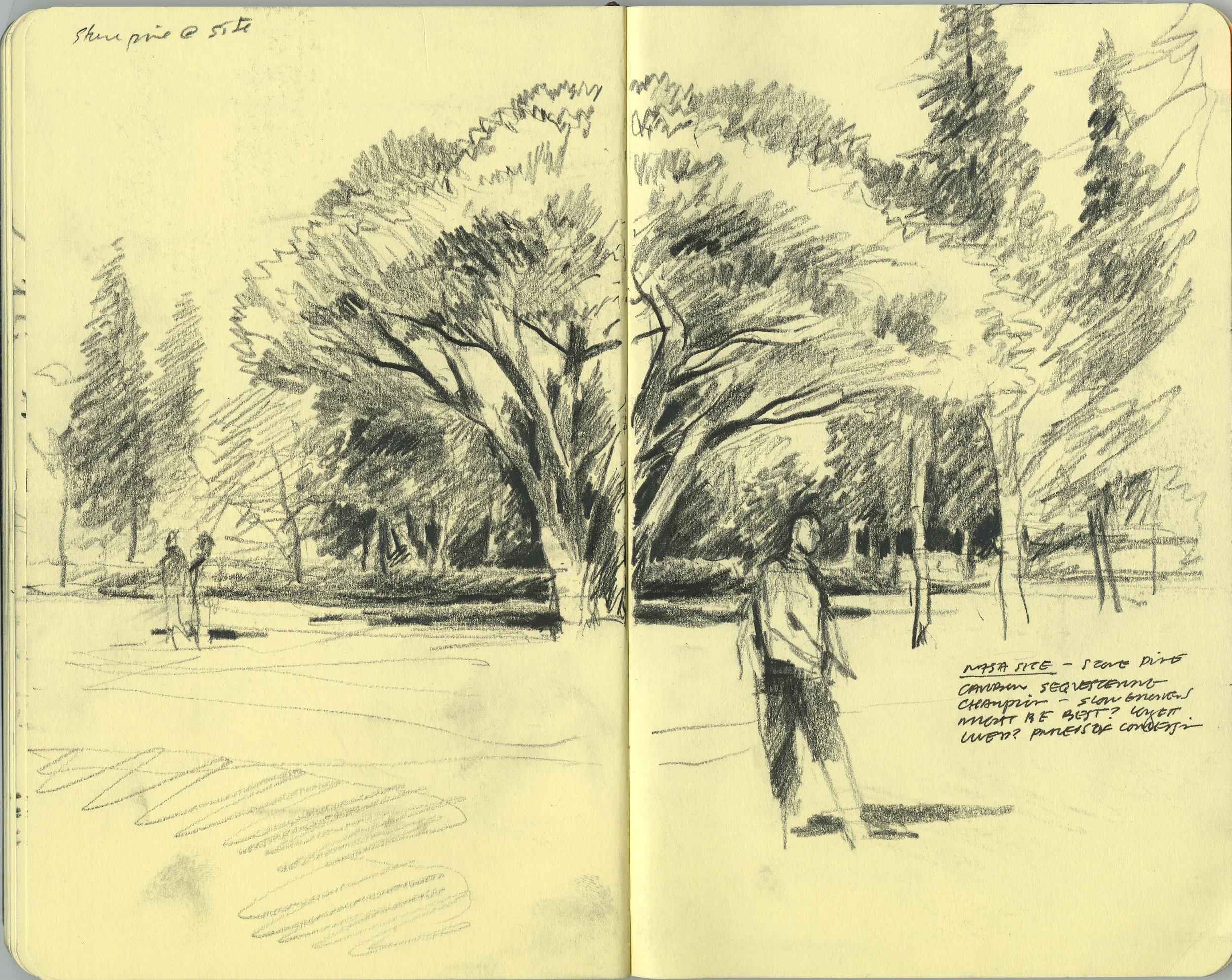 sitesketch_scanned080605.jpg