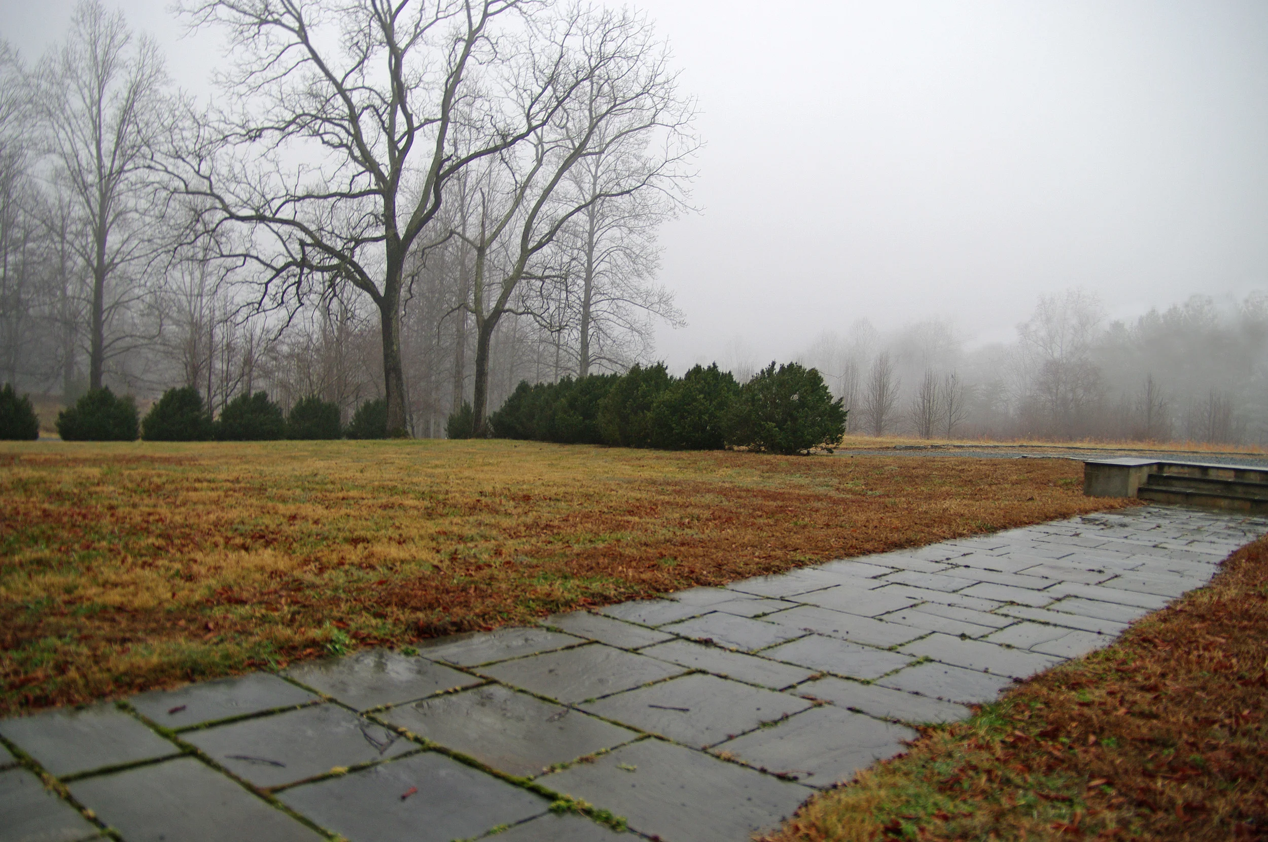 Copy of IMGP9376.JPG