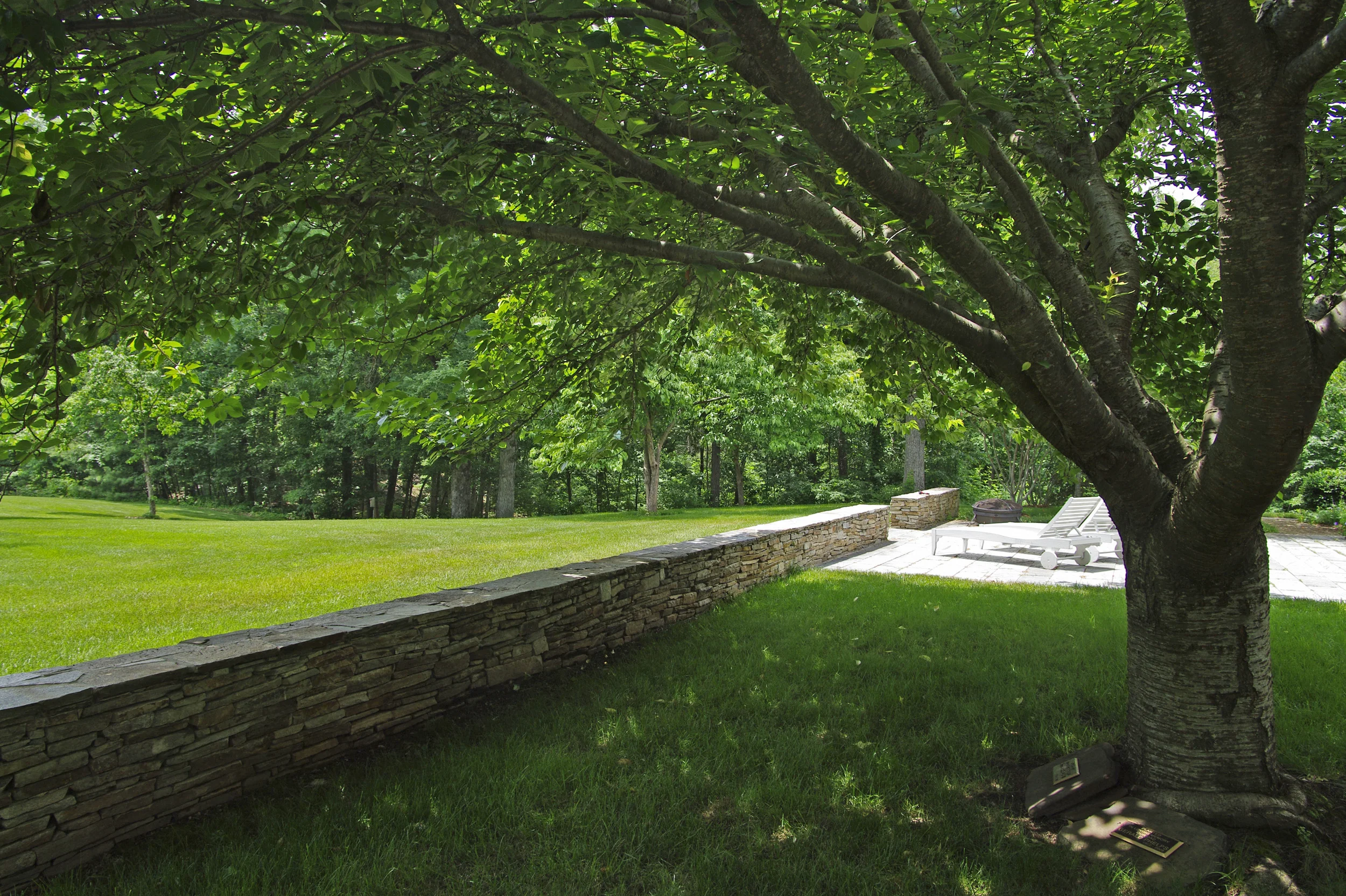 PHELPSMORE LANE GARDEN