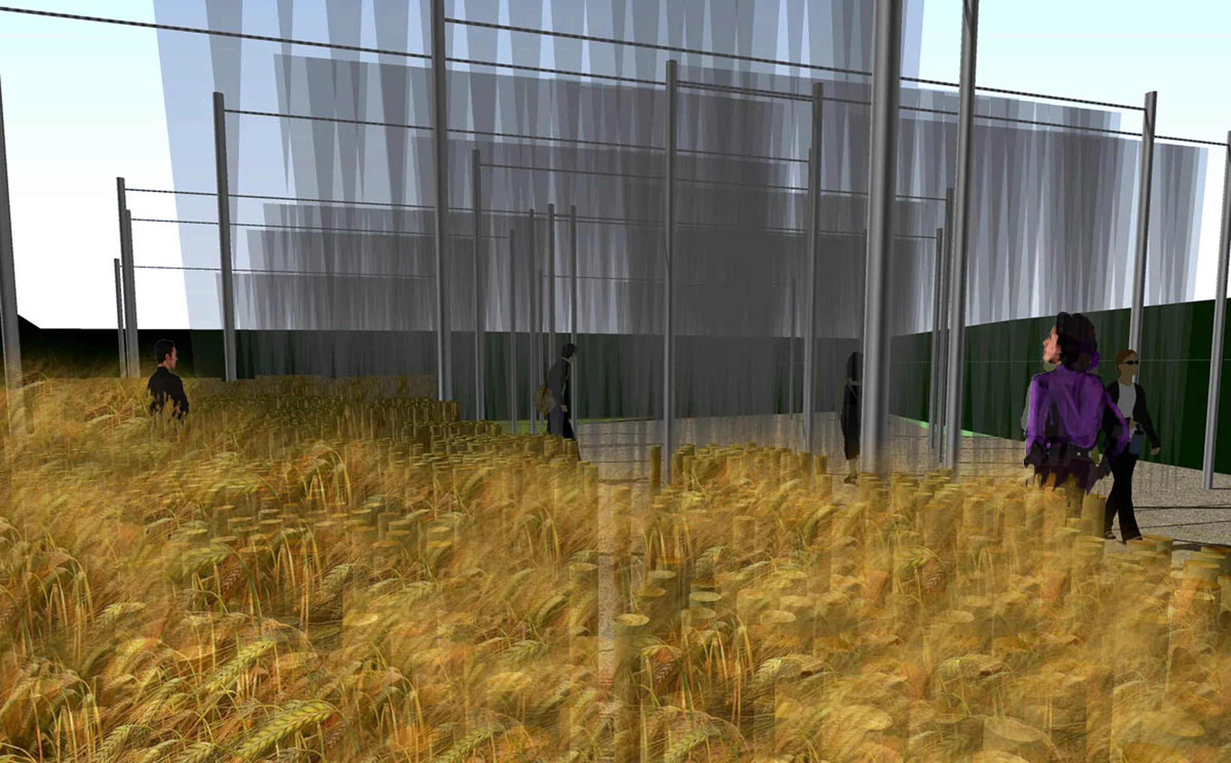 HIDE + SEEK GARDEN