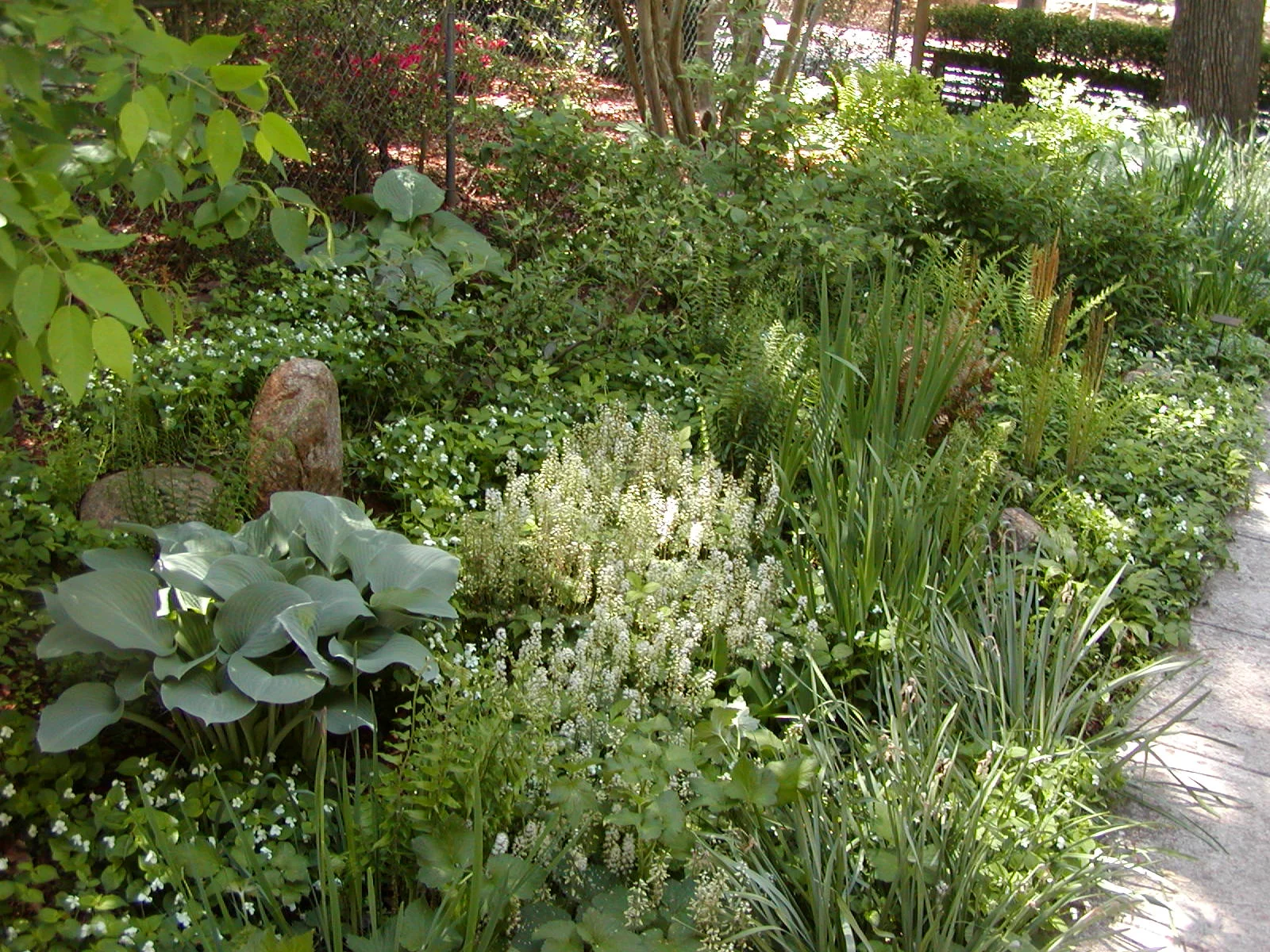 P1010030.JPG