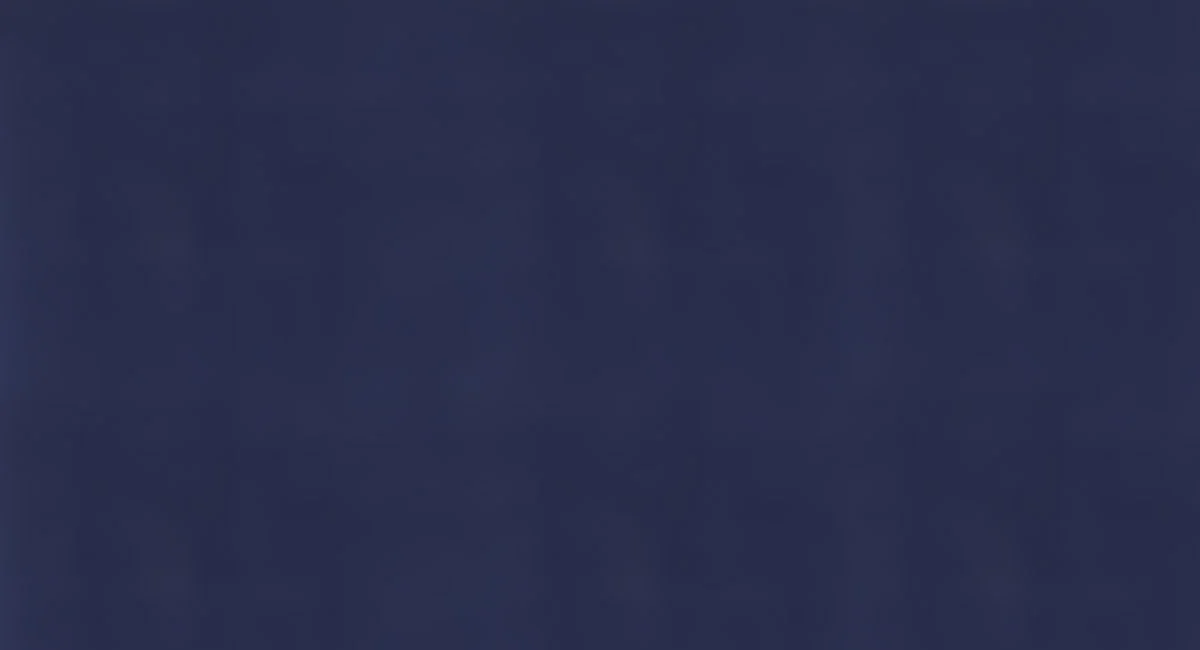 Bella_navy.jpg