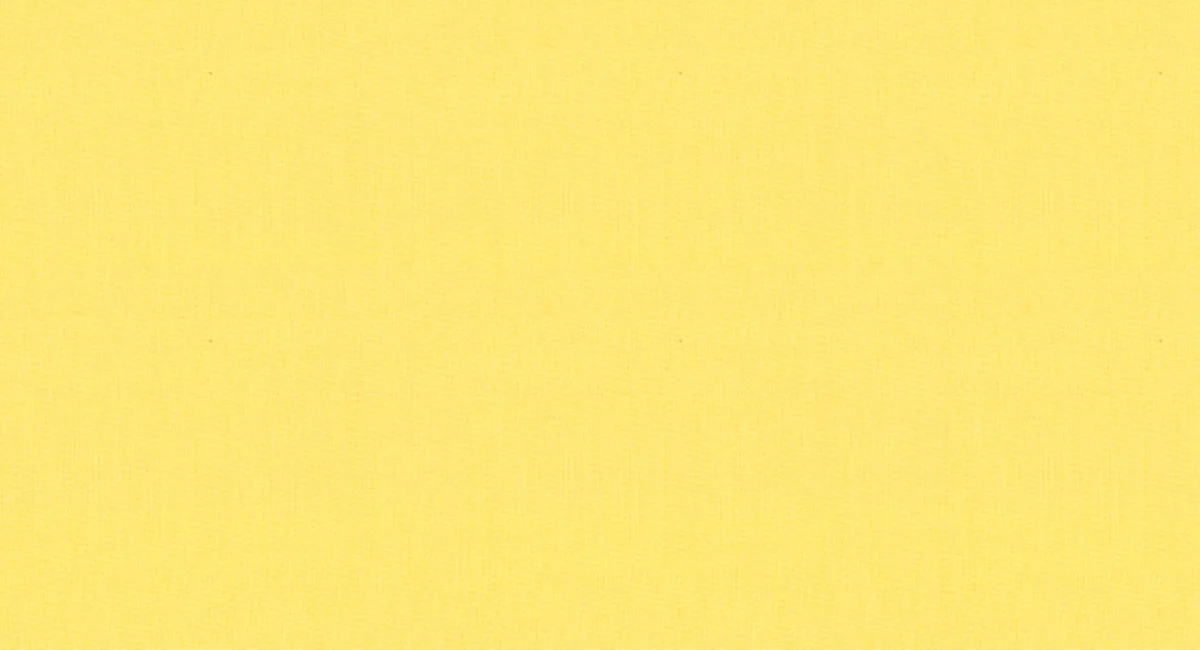 Bella_yellow.jpg