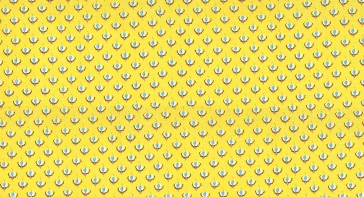 lauren_jessi_jung_botany_seeds_yellow.jpg