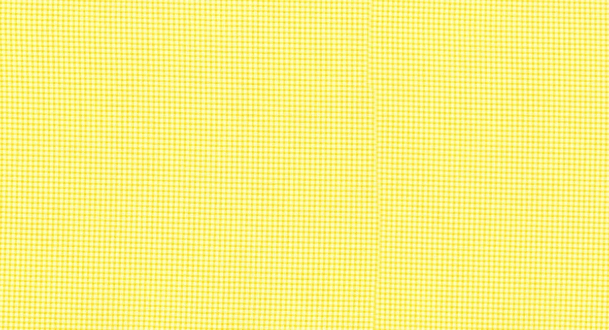 lauren_jessi_jung_hideaway_gingham_yellow.jpg