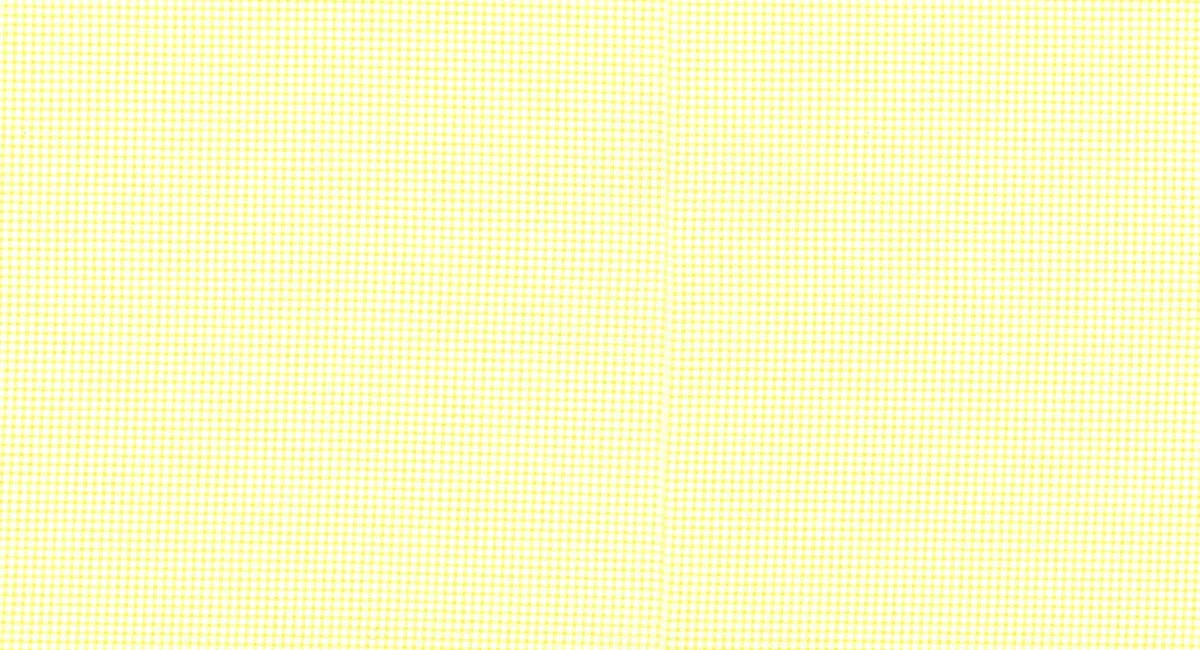 lauren_jessi_jung_hideaway_gingham_light_yellow.jpg