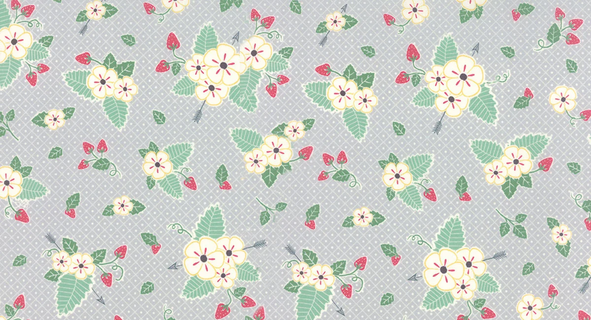 bumbleberry-thejungs-moda_fabrics-main-gray.jpg