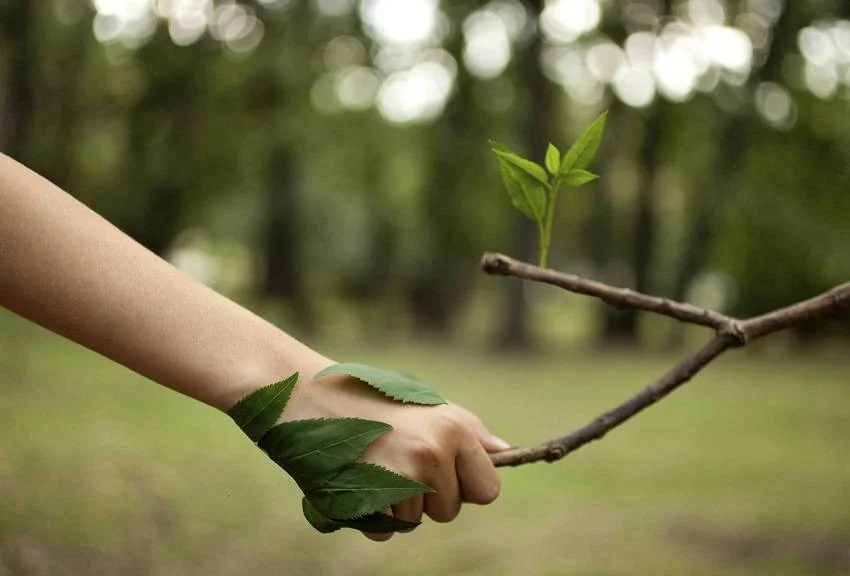 Help-the-Environment-Everyday-Life.jpg