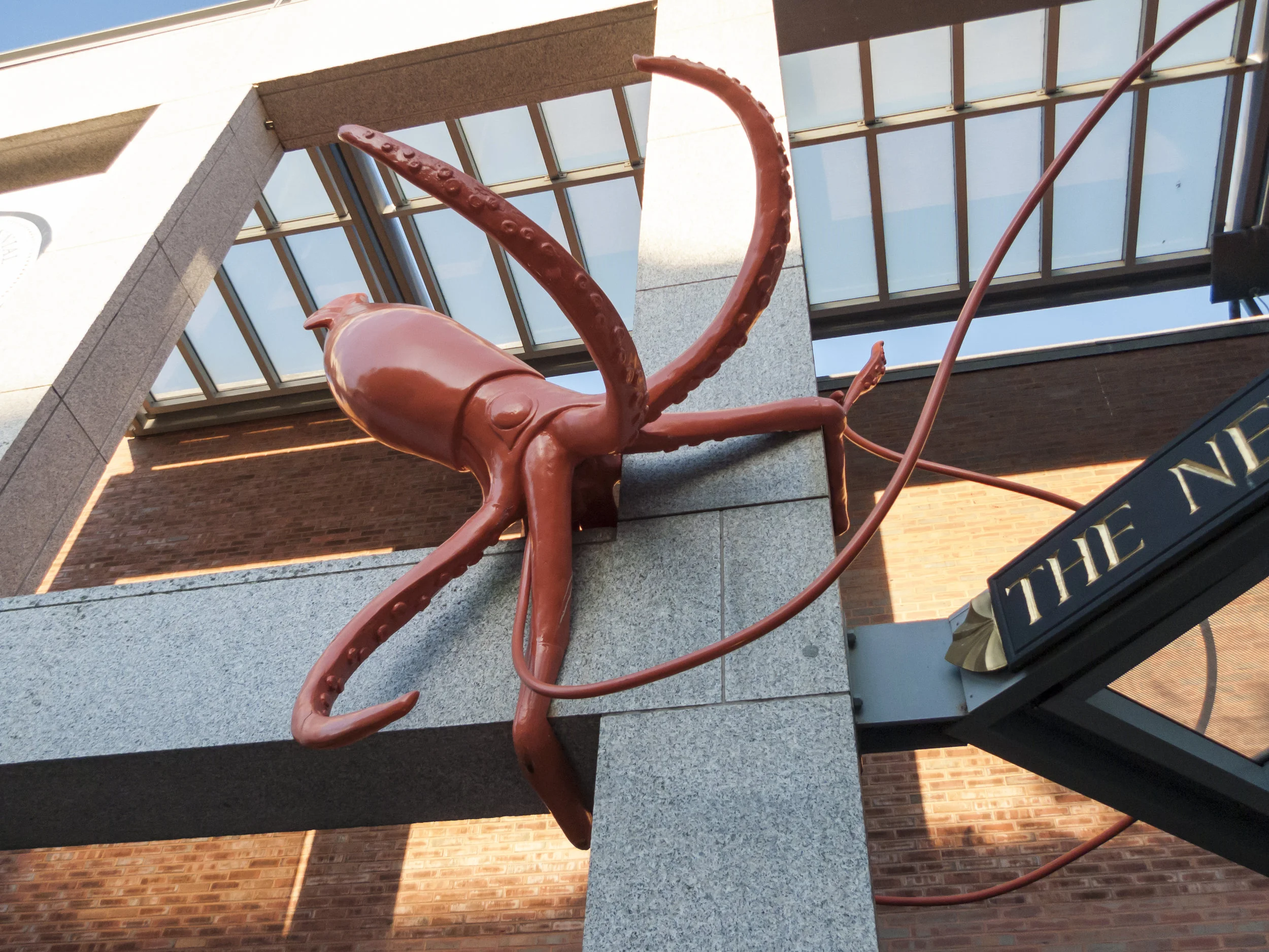 Giant Squid
