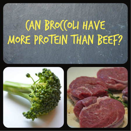 Meat Vs Vegetable Protein Chart
