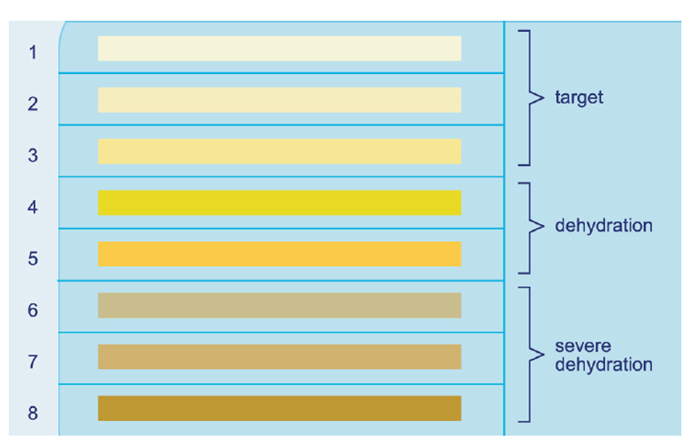 Image source: http://kdhosting.co.uk/england/Sport_Science