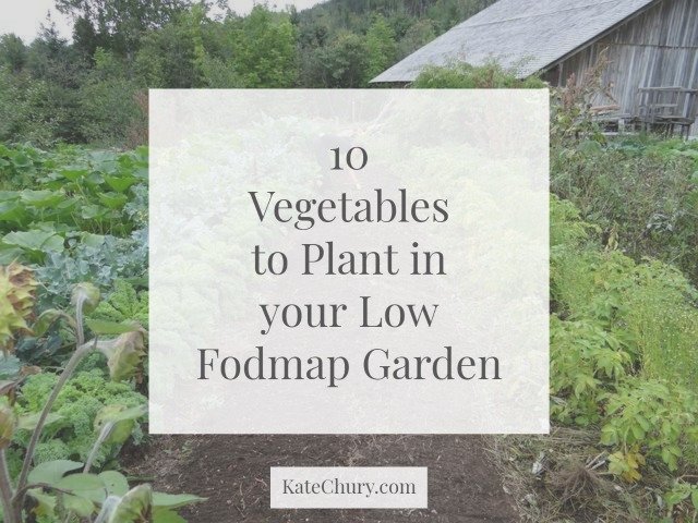 10 Vegetables to Plant in your Low Fodmap Garden — Kate Chury