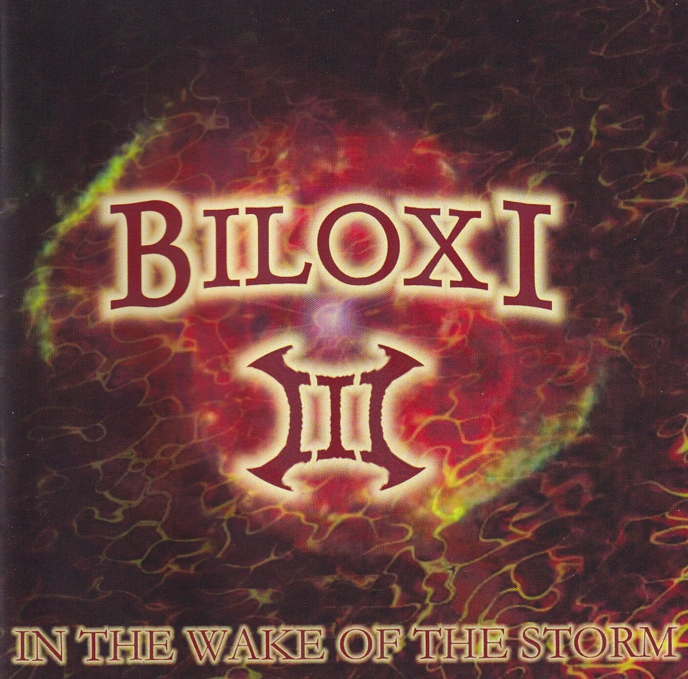 biloxi-inthewakeofthestorm.jpg
