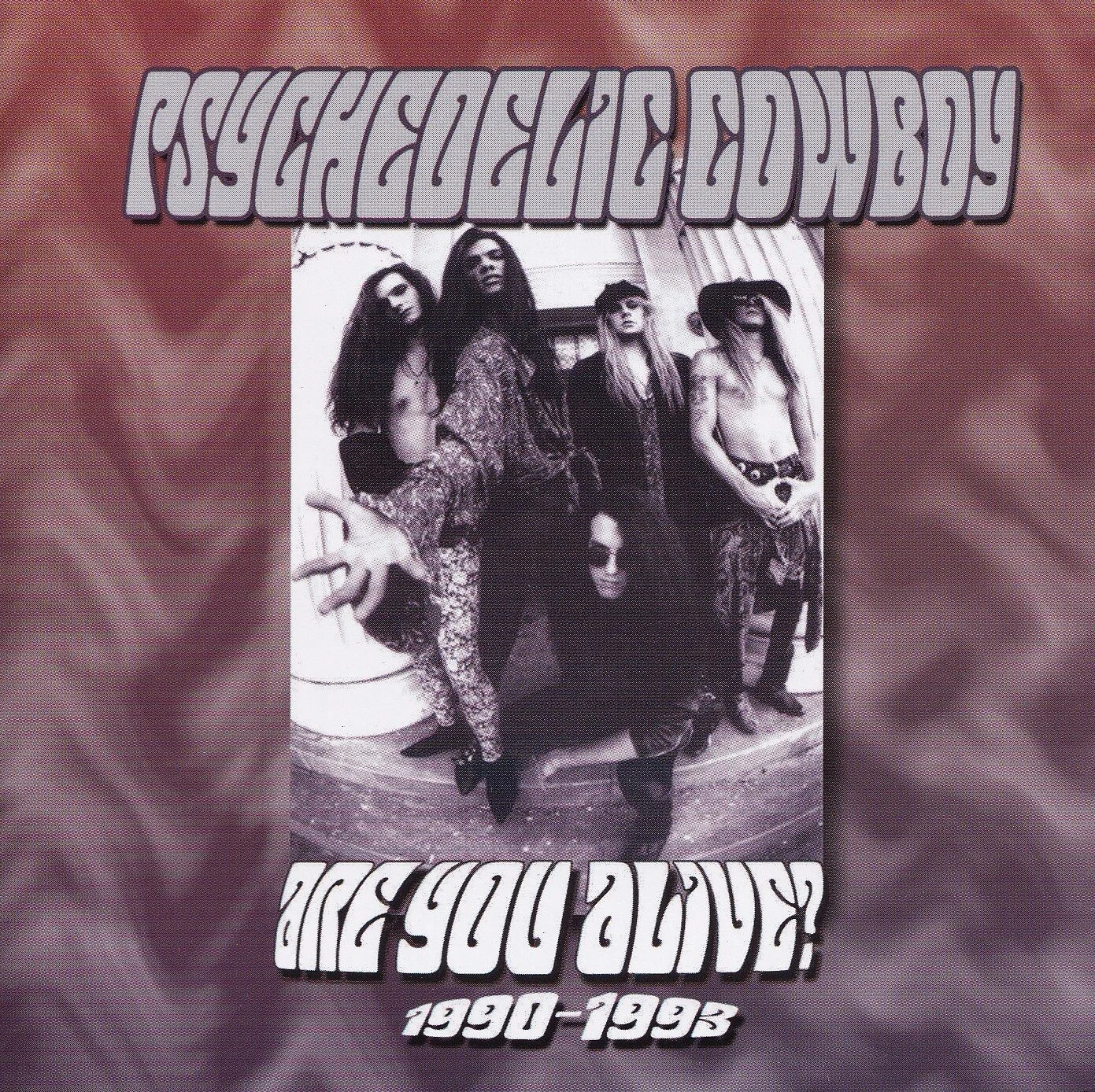 psychedeliccowboy-areyouthere.jpg