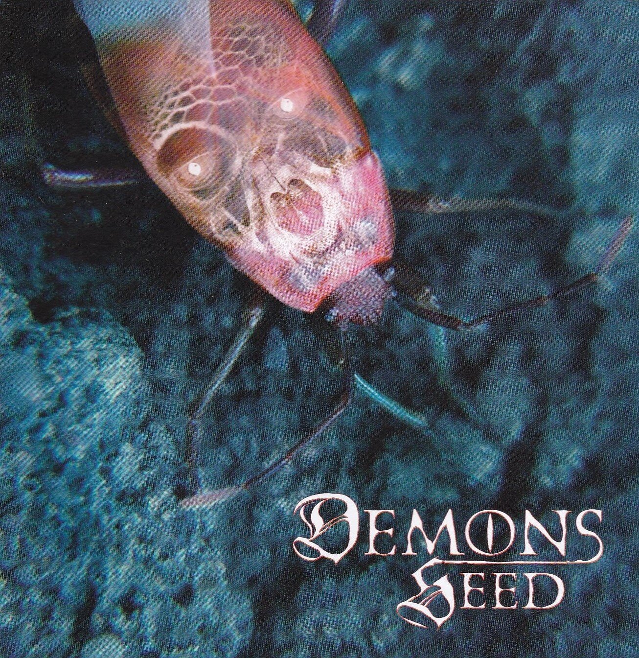 demonsseed-dawnofanewworld.jpg