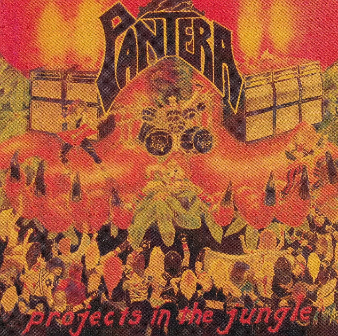 pantera-projectsinthejungle.jpg