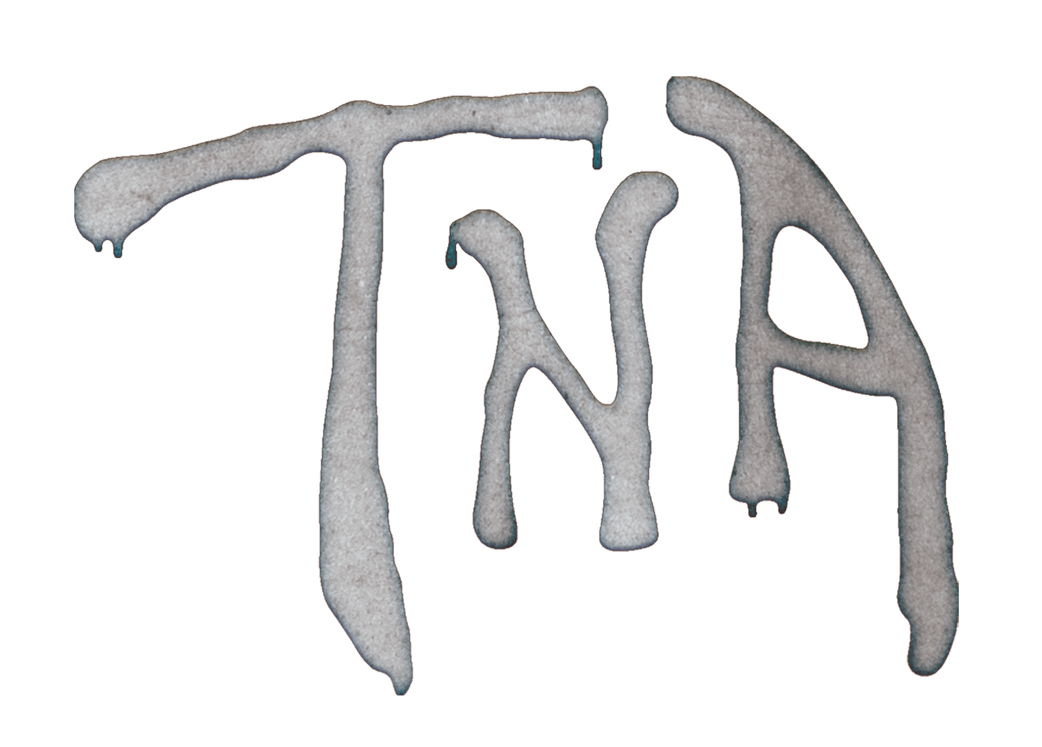 TNA Logo.png