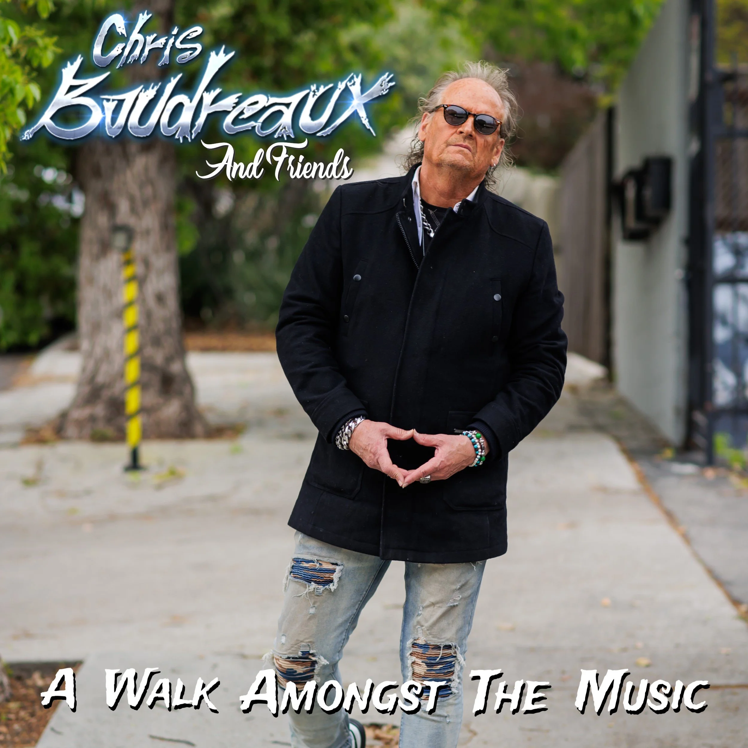 chrisboudreauxandfriends-awalkamongstthemusic.jpg