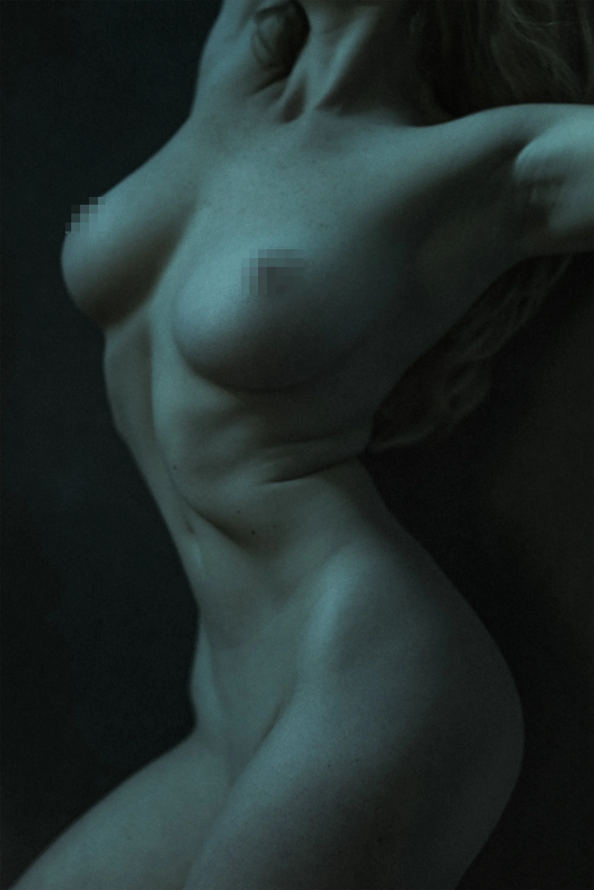 BODYSCAPE