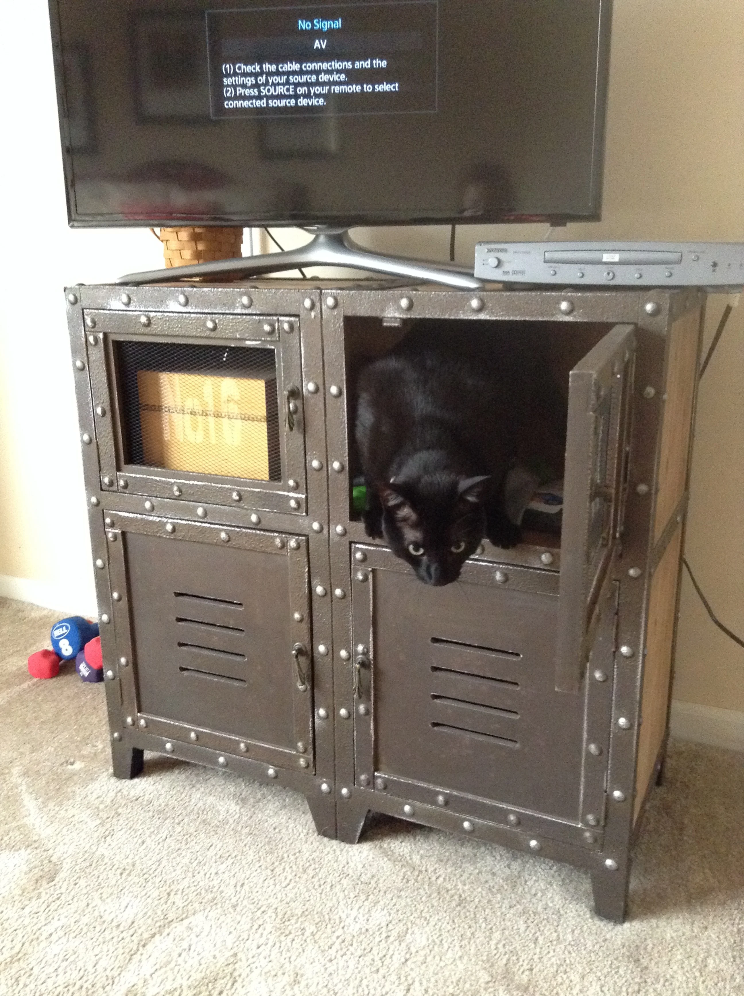Wilbur wants this to work.