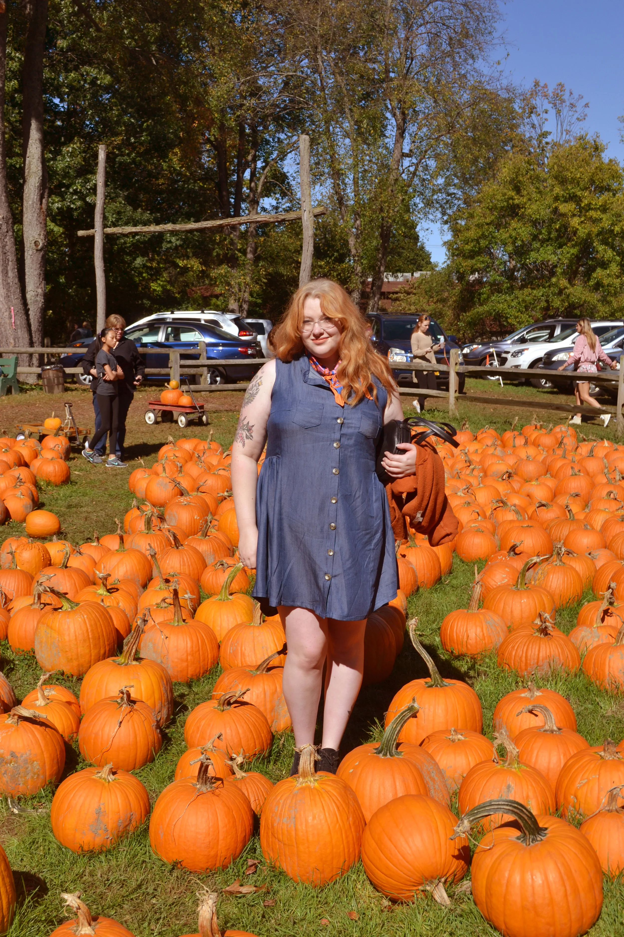 DSC_0373.jpg