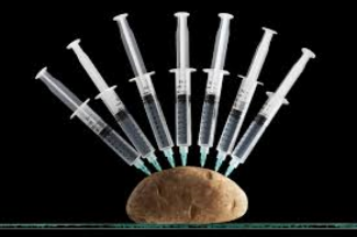 potato and syringe.jpeg
