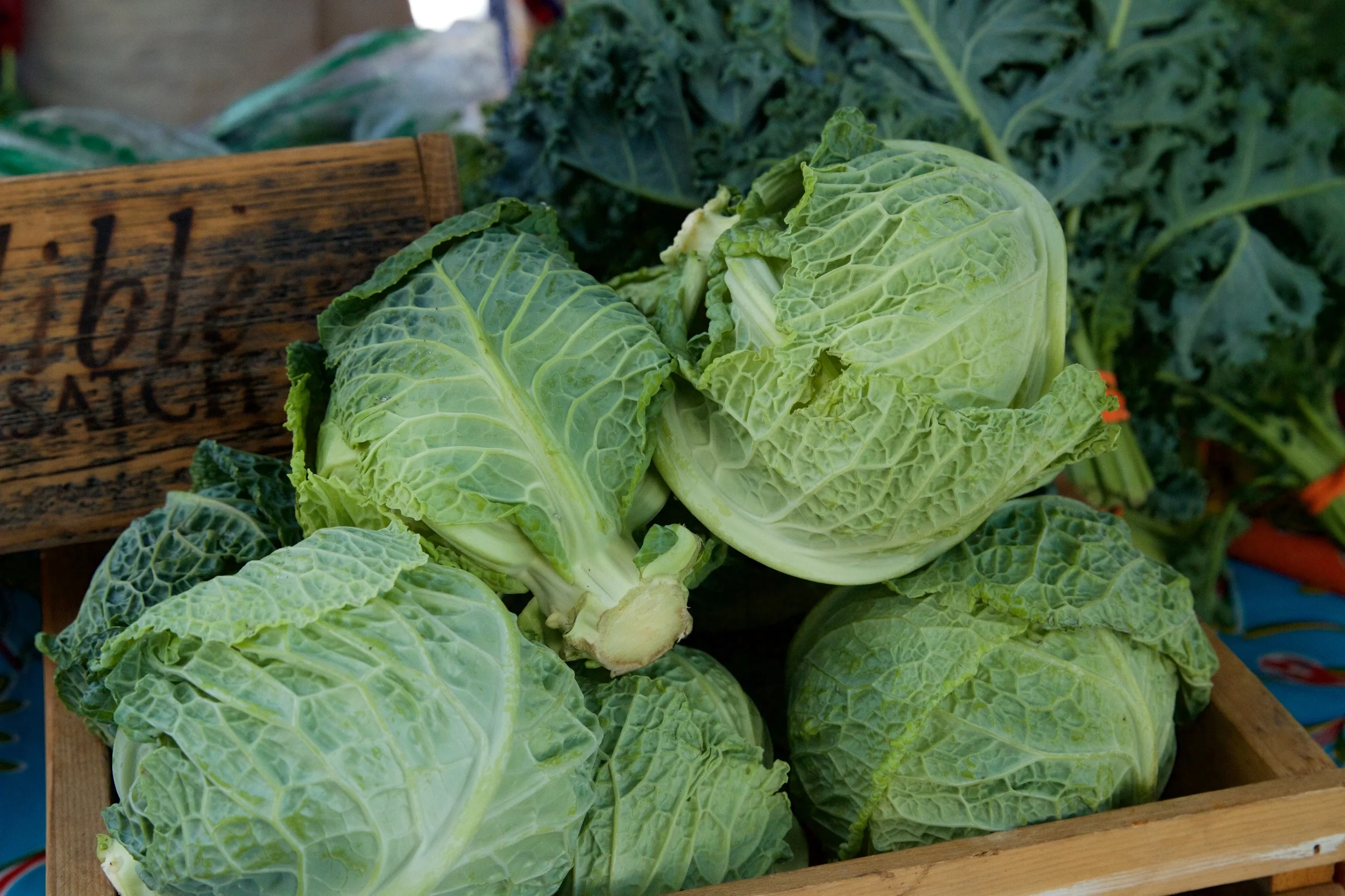 Image of BUG Farms cabbage