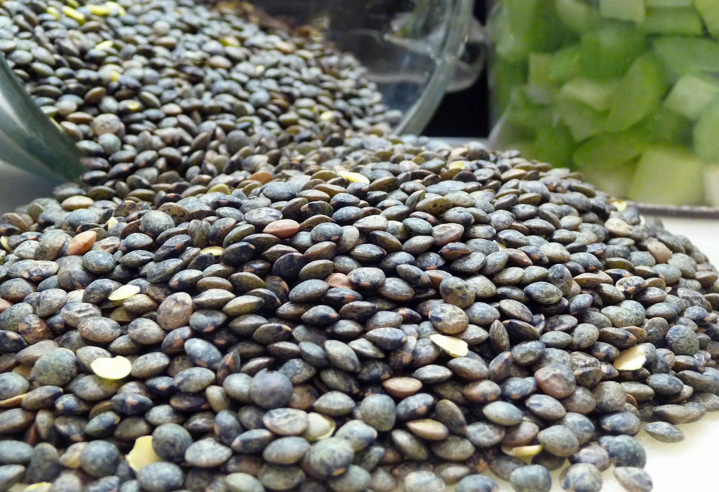 French-Green-Lentils.jpg