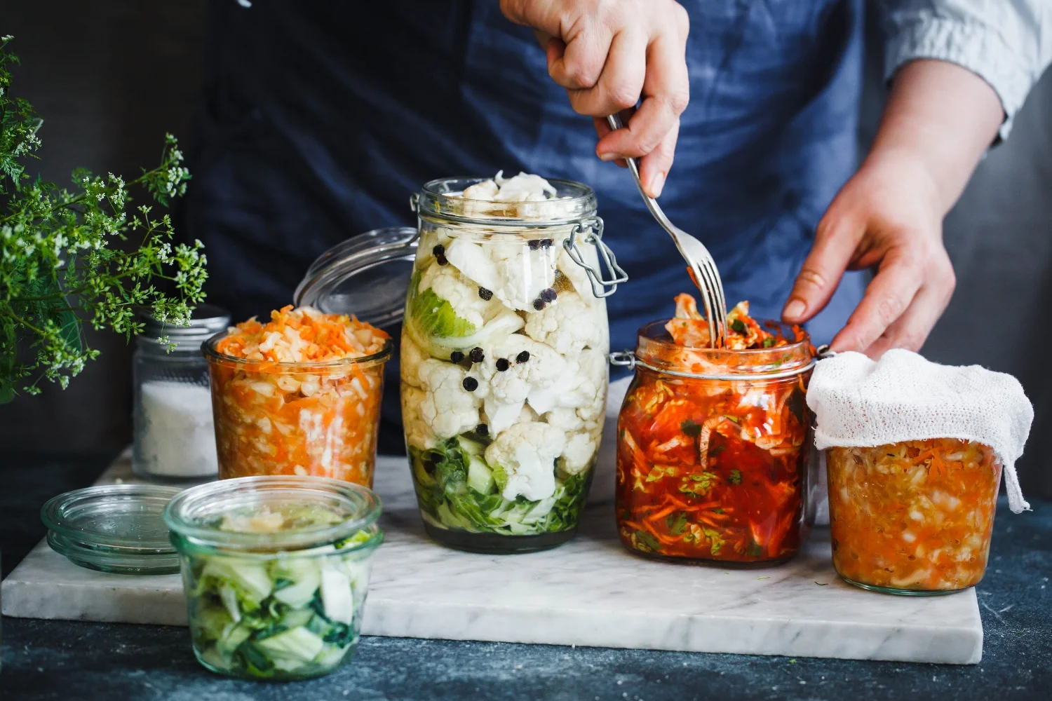 fermented foods .jpg