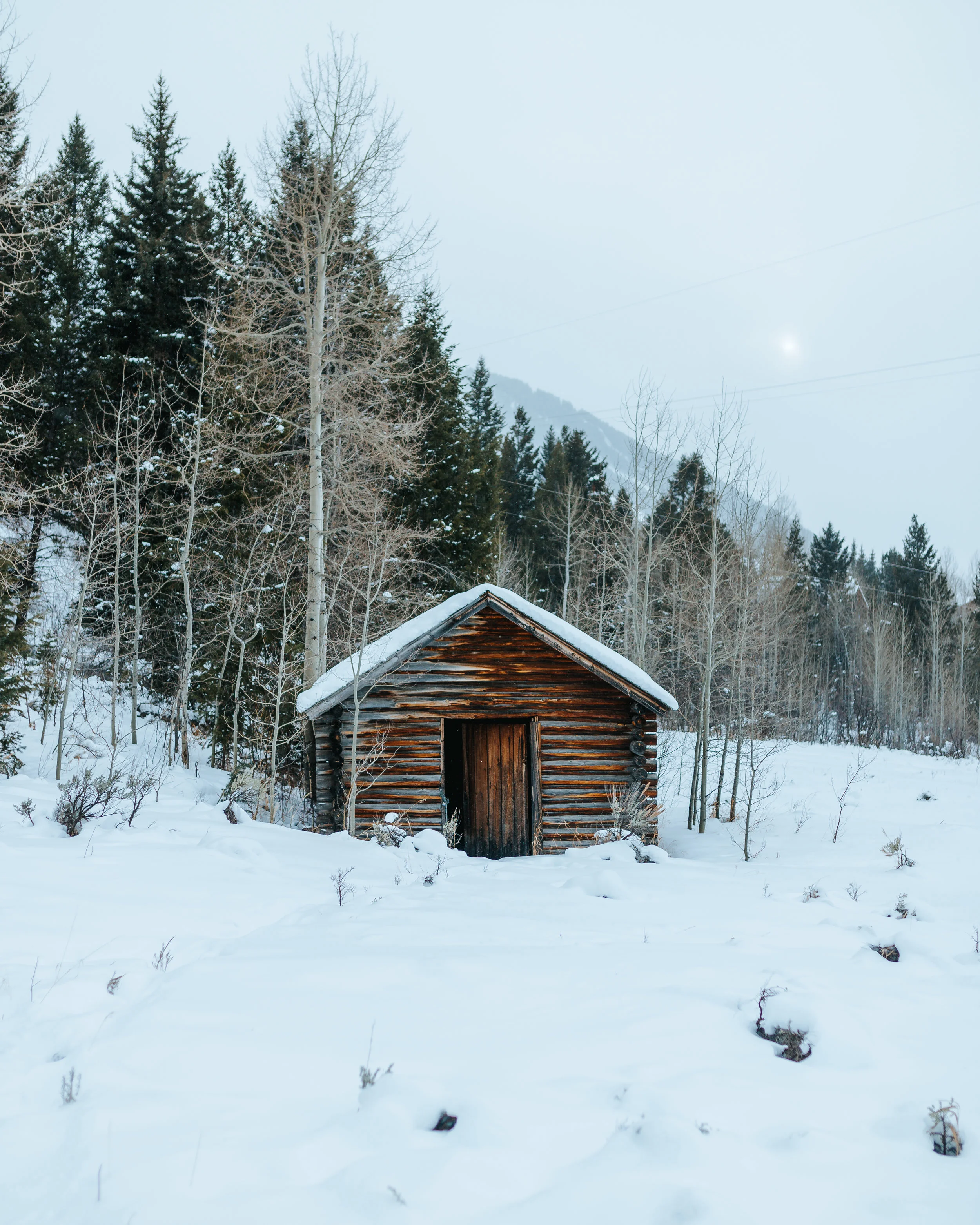 GretaEagan_Refuge&Cabin_02-25-18-7.jpg