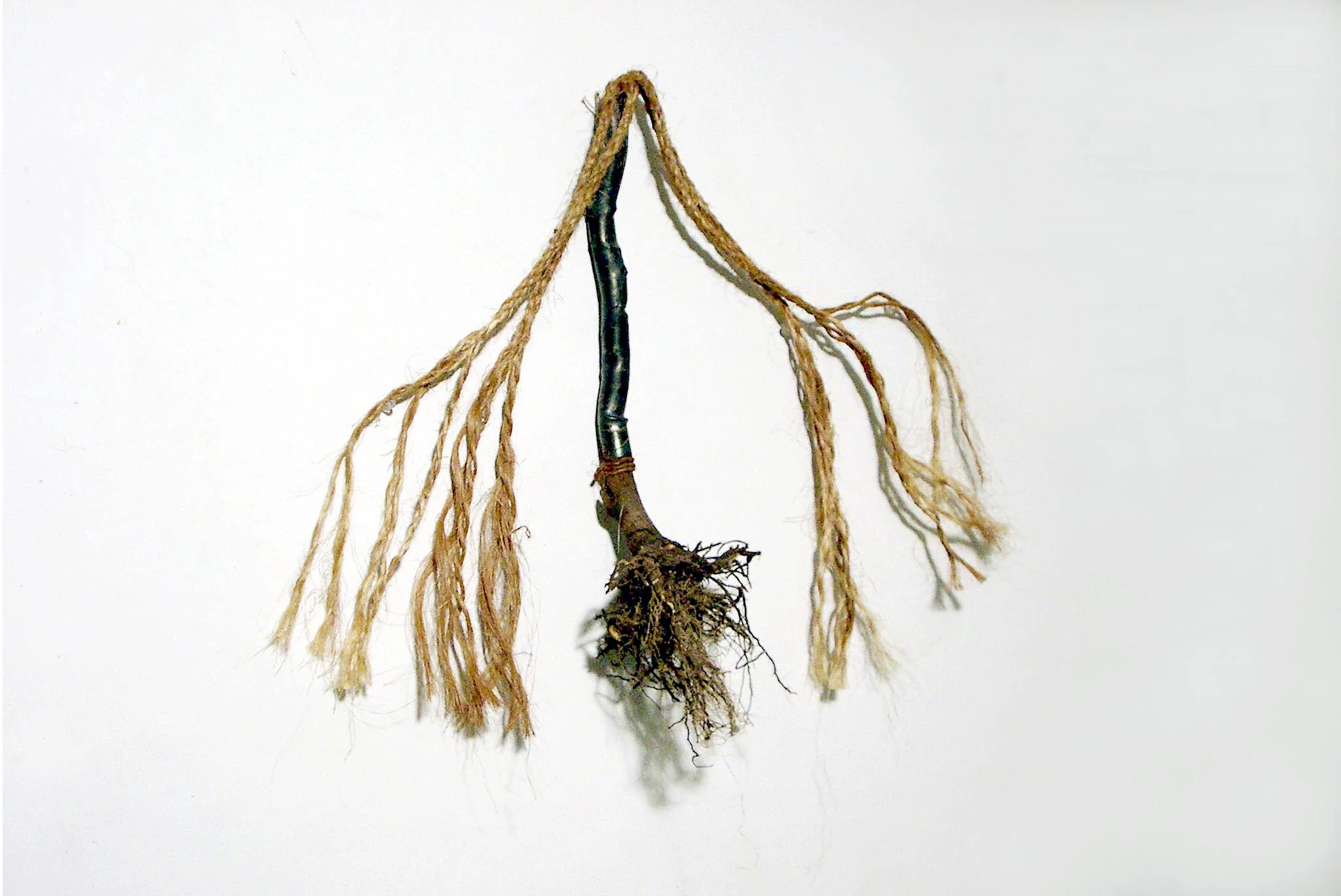 Hanging Roots 13