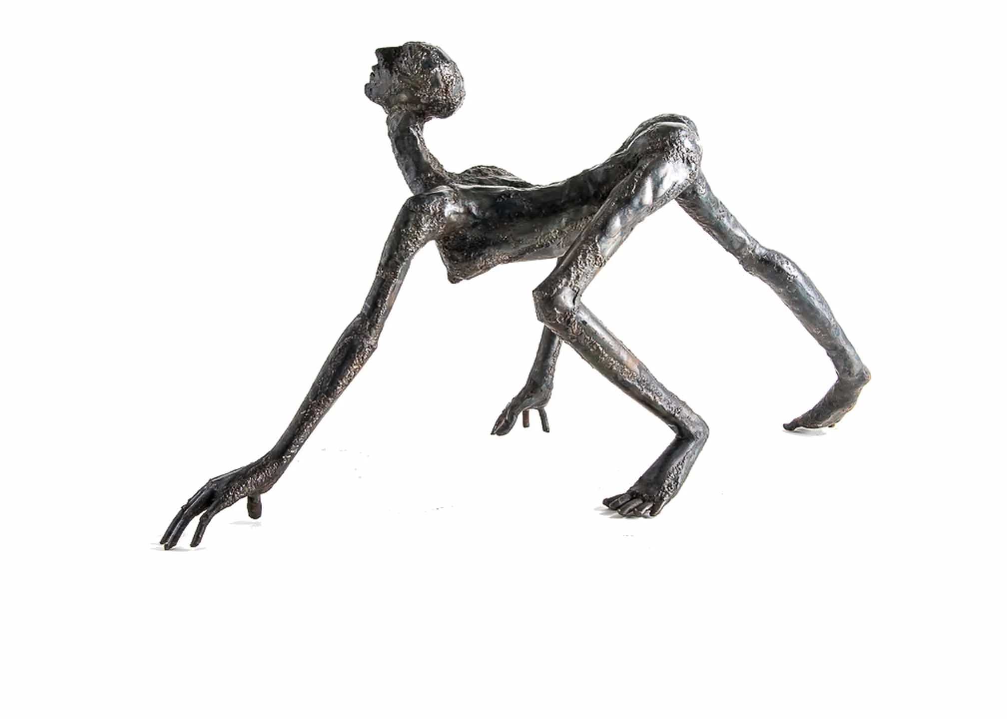 Night Traveler 2006