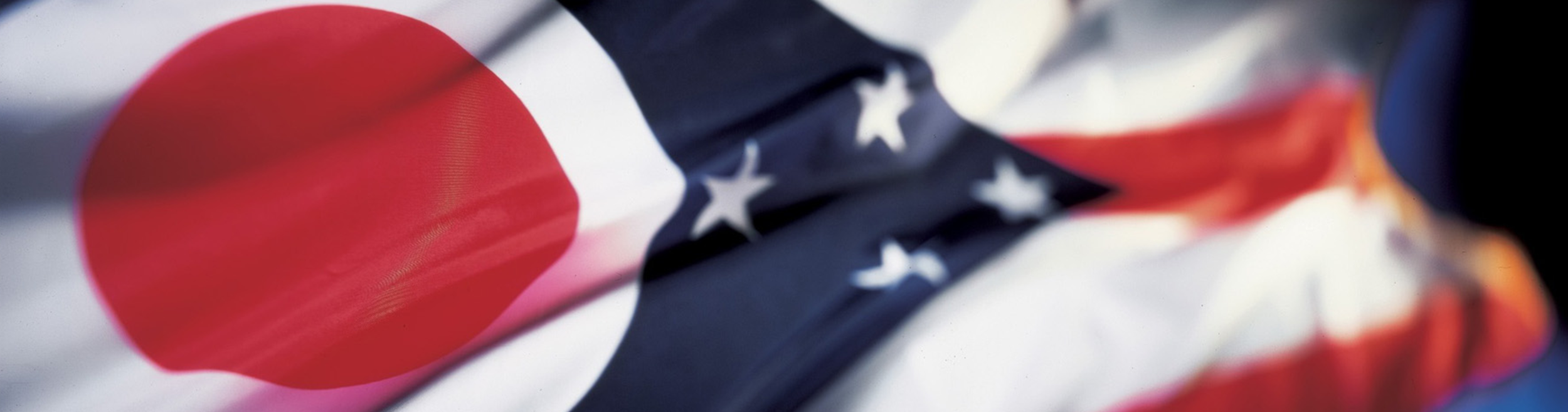 Annual Council Meeting