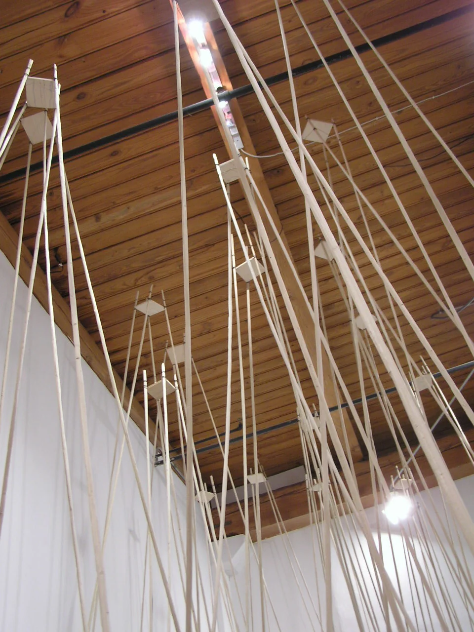 installation looking up.jpg