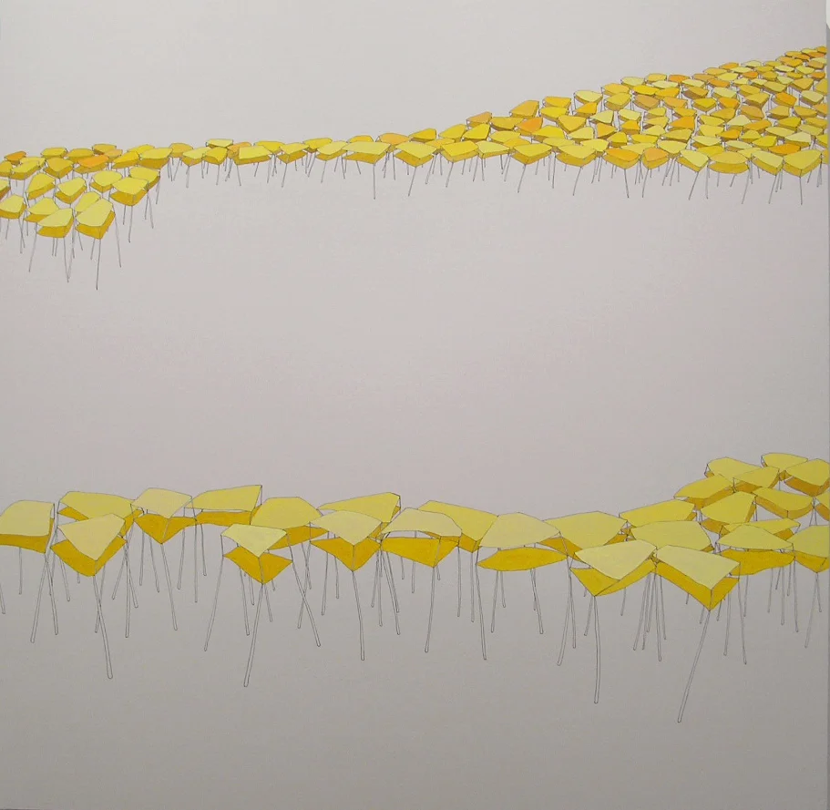 terremote sin dolor, 2005