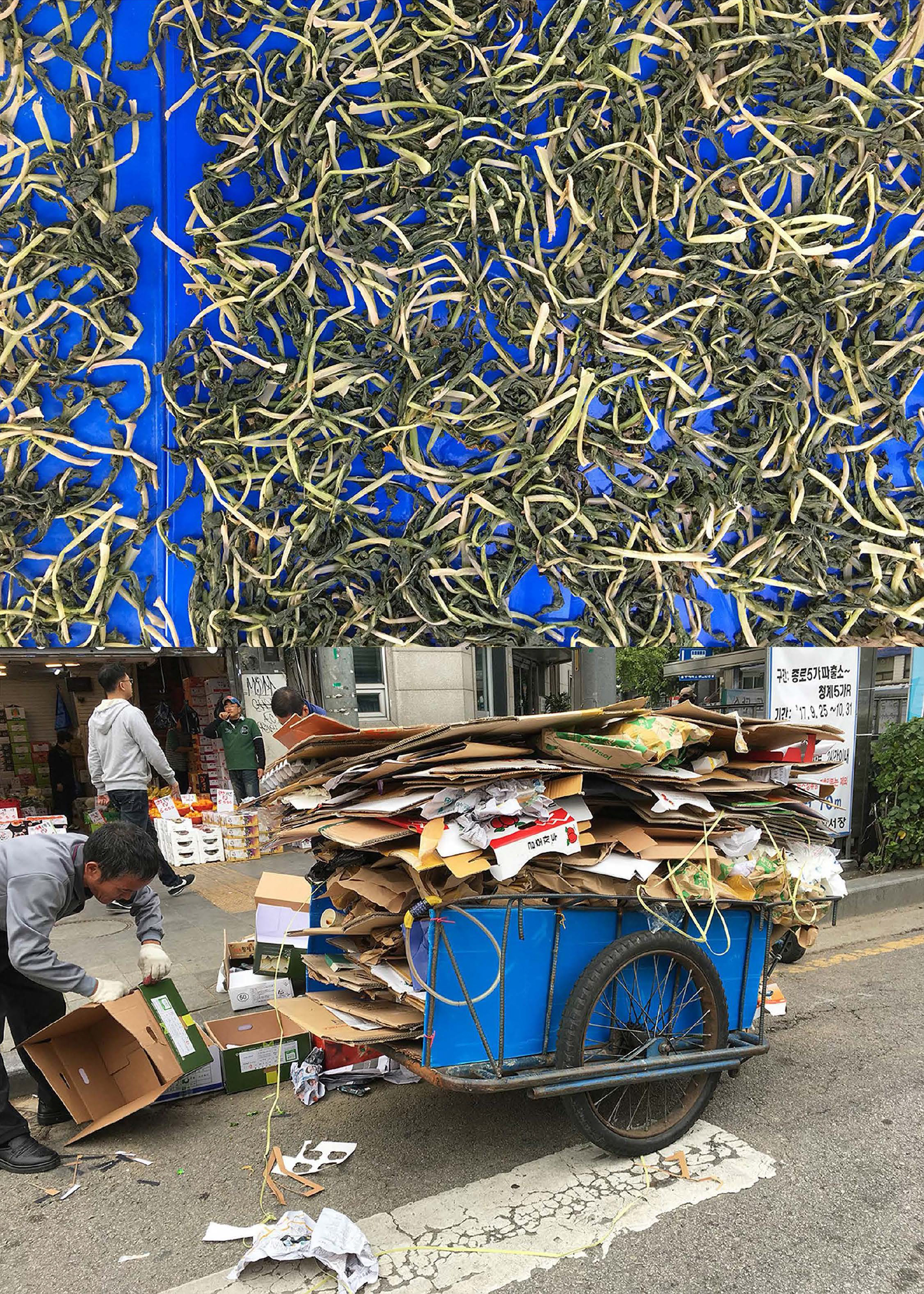 Copy of Radish greens for kimchi consumed by a city that recycles (Seoul)