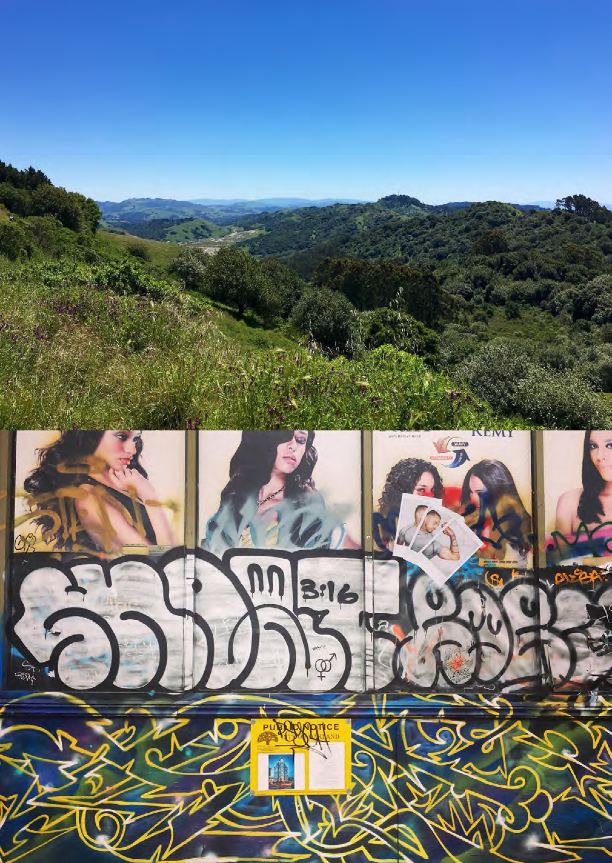 Hills graffiti (Oakland), 2018