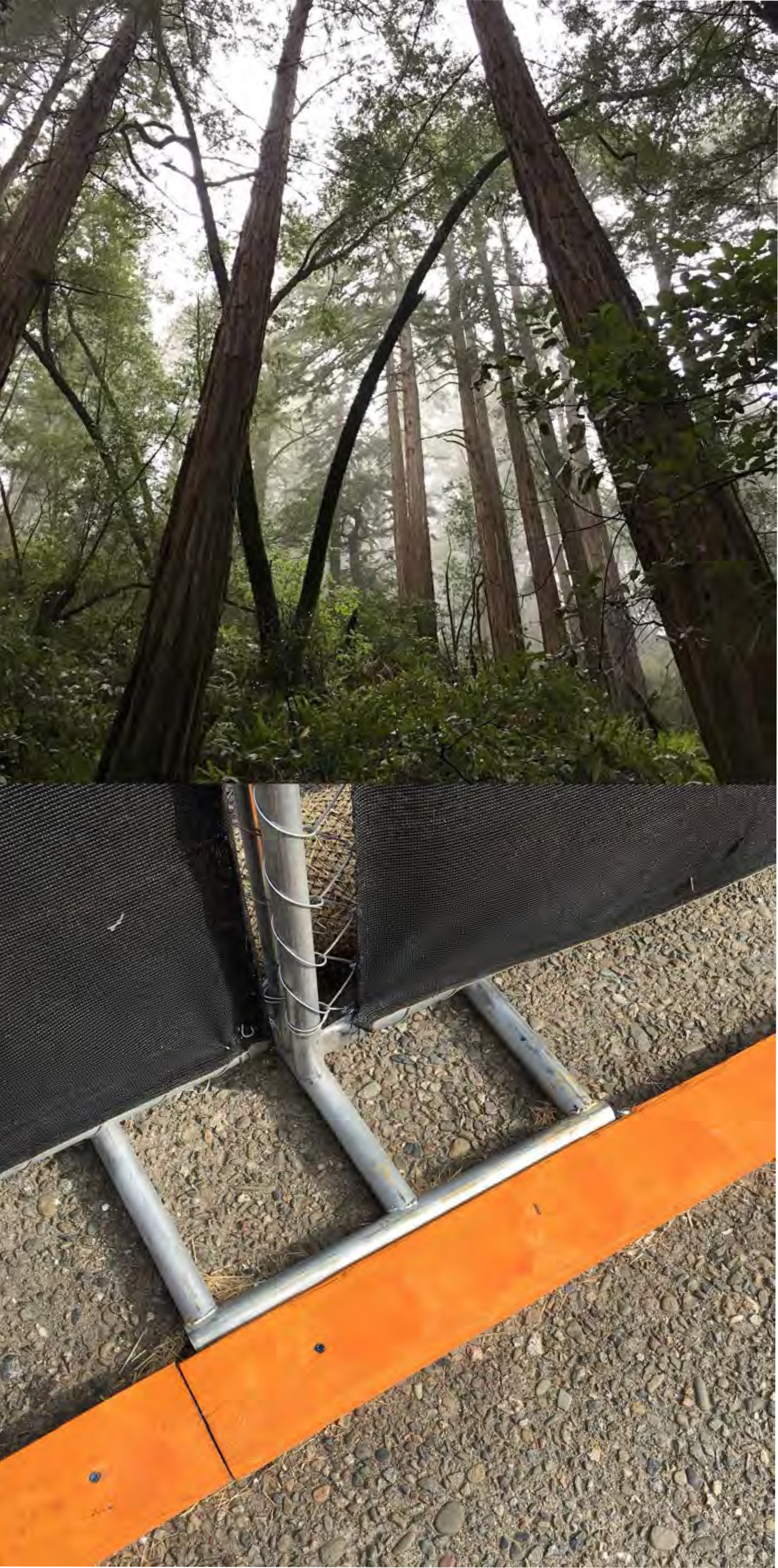 Copy of Tree Fence (Oakland)
