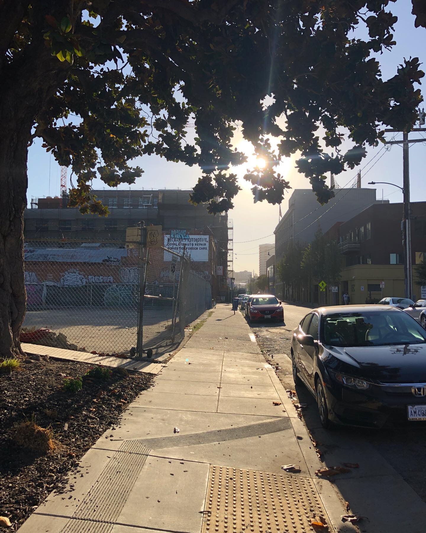 Went for a morning run (masked)- it&rsquo;s been ages!- before it got too hot today (up to 92). Oakland streets, then along #LakeMerritt to Lakeshore to Wildwood and through #PiedmontPark, to Moraga, Piedmont Ave then Broadway to #SweetBar and an ice