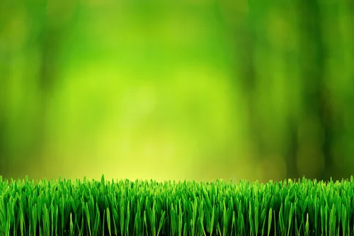 95%+ of our energy is sourced from renewables.