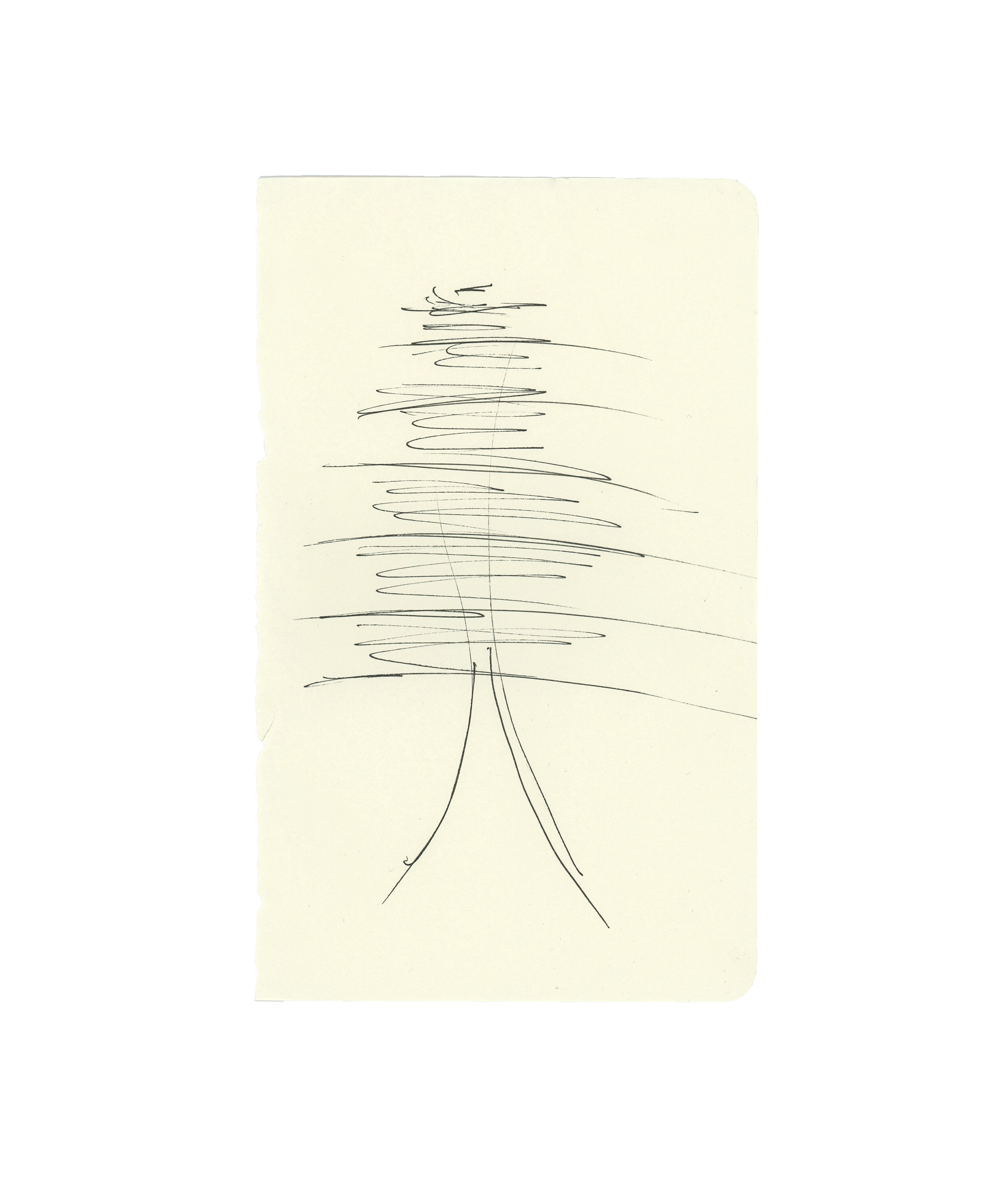  Pine drawing No. 2 - Allen 