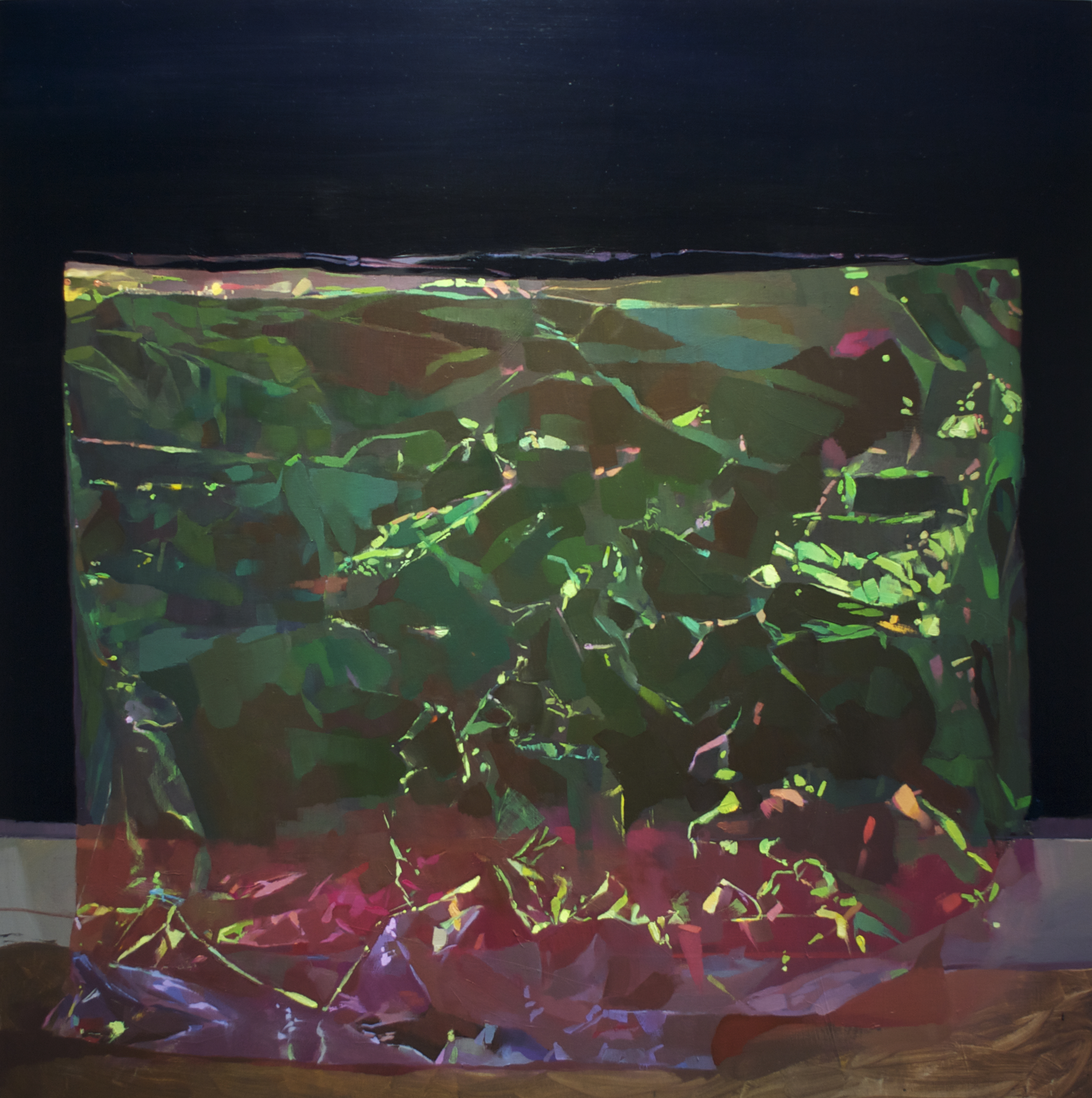 Cluster oil on panel 36 x 36 inches