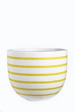 SACHET Yellow Horizontal lines