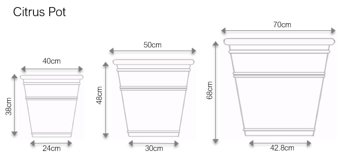 Picture2.png