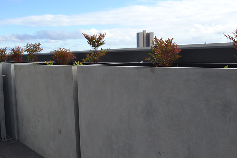 Custom designed outdoor planter boxes perfect for the Australian climate