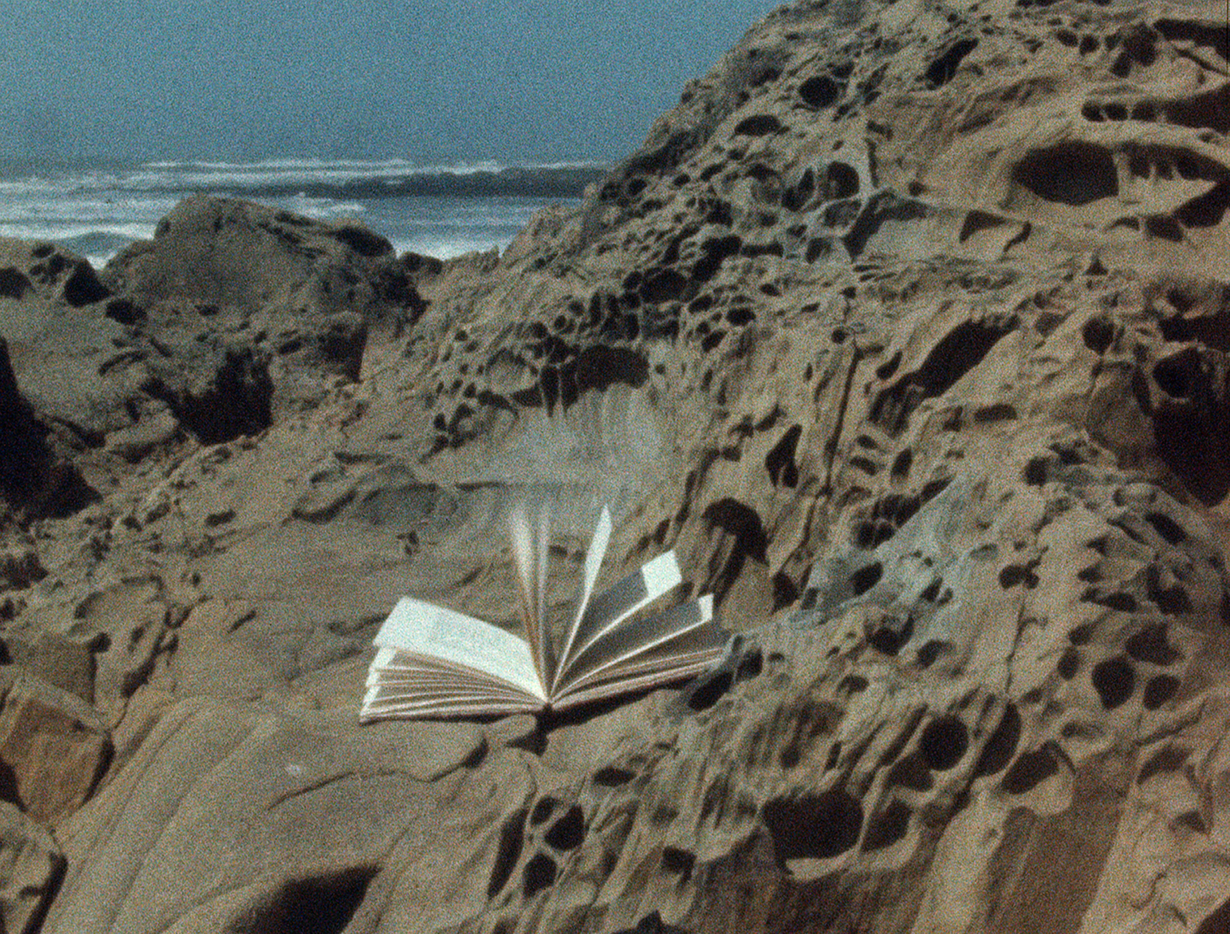   Seascape  (1984, 16mm, Color, Sound, 10min.); © Kuchar Brothers Trust. 