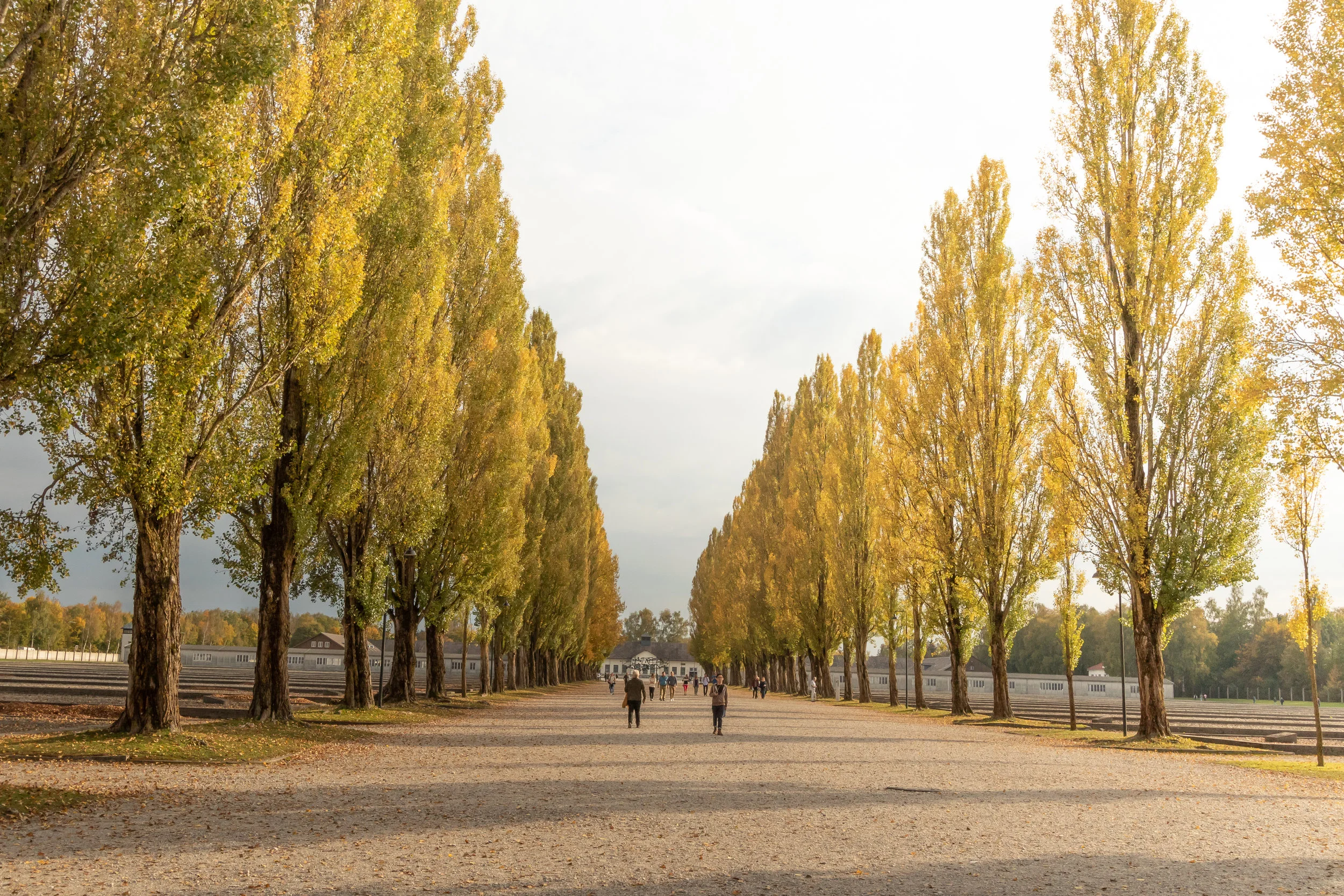 Dachau-1.jpg