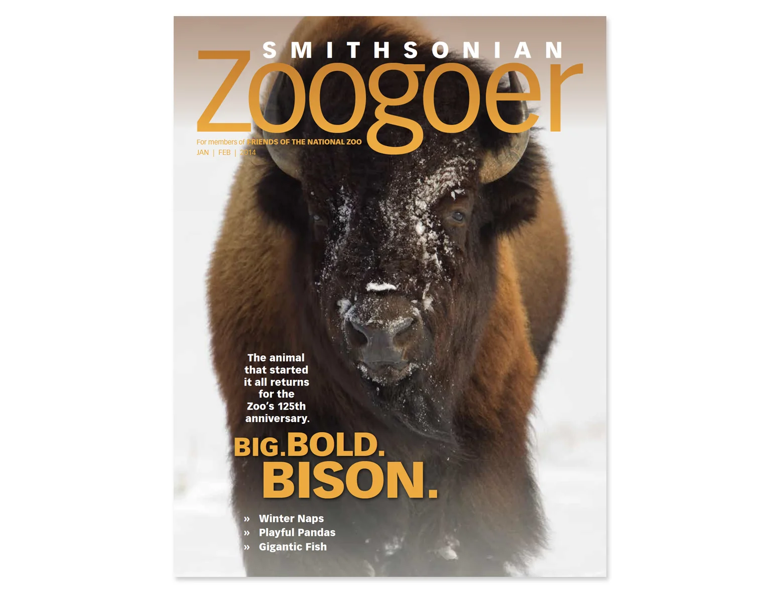 Zoogoer1.jpg